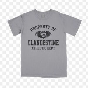 Property of Clandestine gray shirt